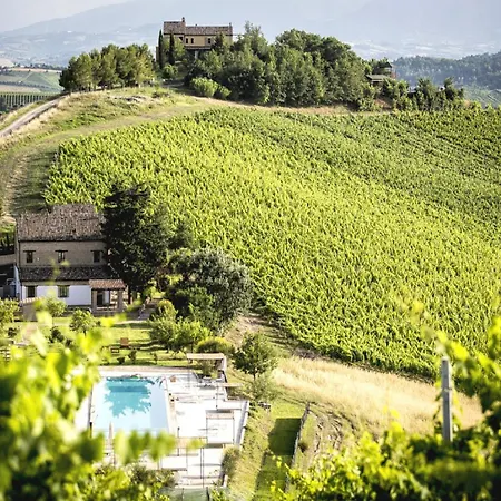 In Marche Near Sandy Beaches