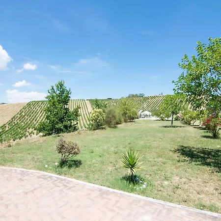 In Marche Near Sandy Beaches San Benedetto del Tronto